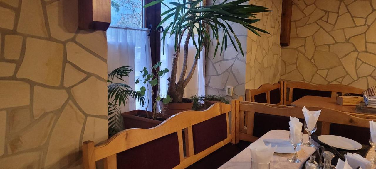 בית הארחה Pensiunea Flora